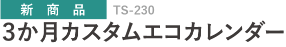 TS-230