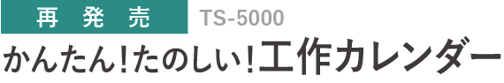 TS-5000