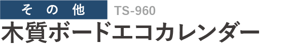 TS-960