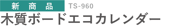 TS-960