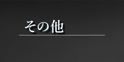 その他